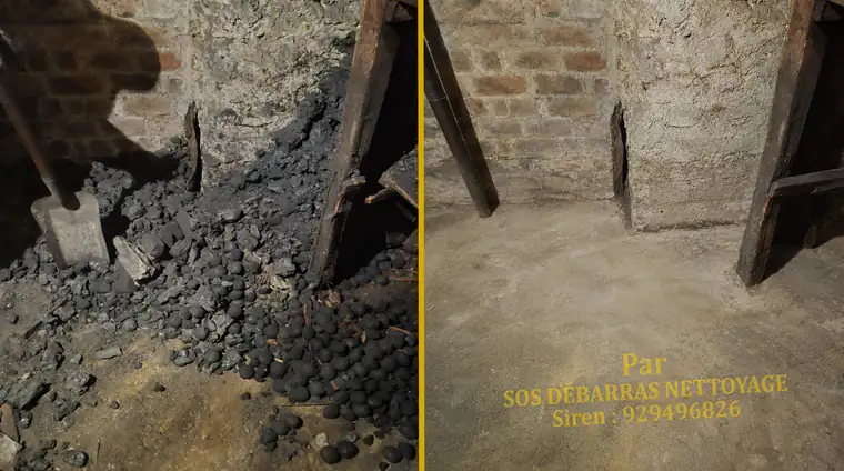 Débarras avant/après d'une cave à Saint-Maur-des-Fossés : évacuation d'un ancien stock de charbon et sol remis à nu