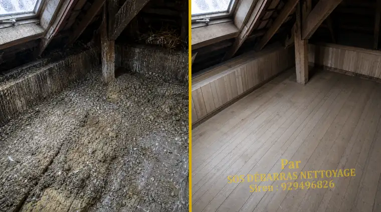 Nettoyage avant/après d'un comble sous charpente : plancher couvert de croûtes de fientes décapé puis désinfecté, bois rendu propre